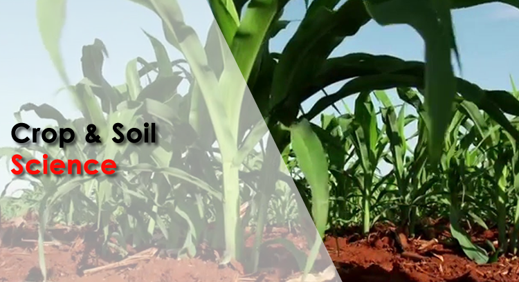 Crop and Soil Science