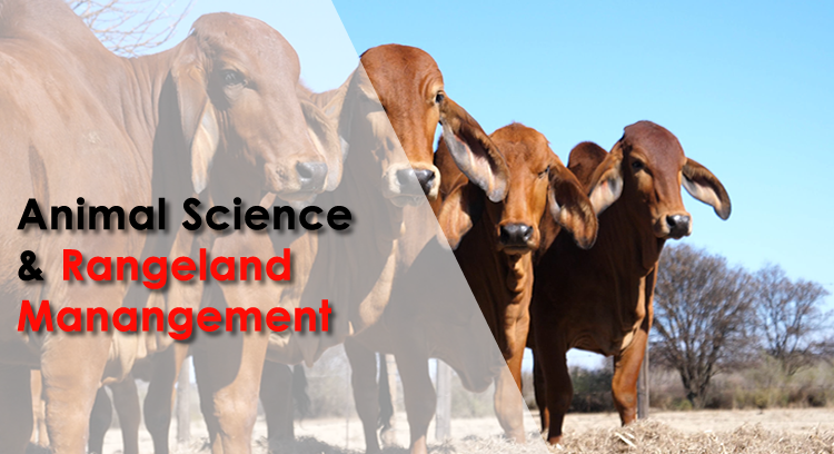 Bachelor of Agricultural Sciences Honours Degree in Animal Science and Rangeland Management