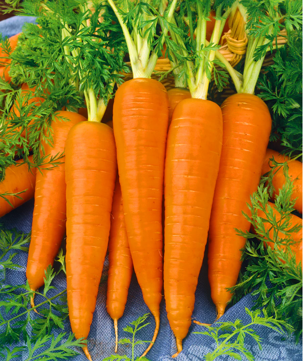 Carrots