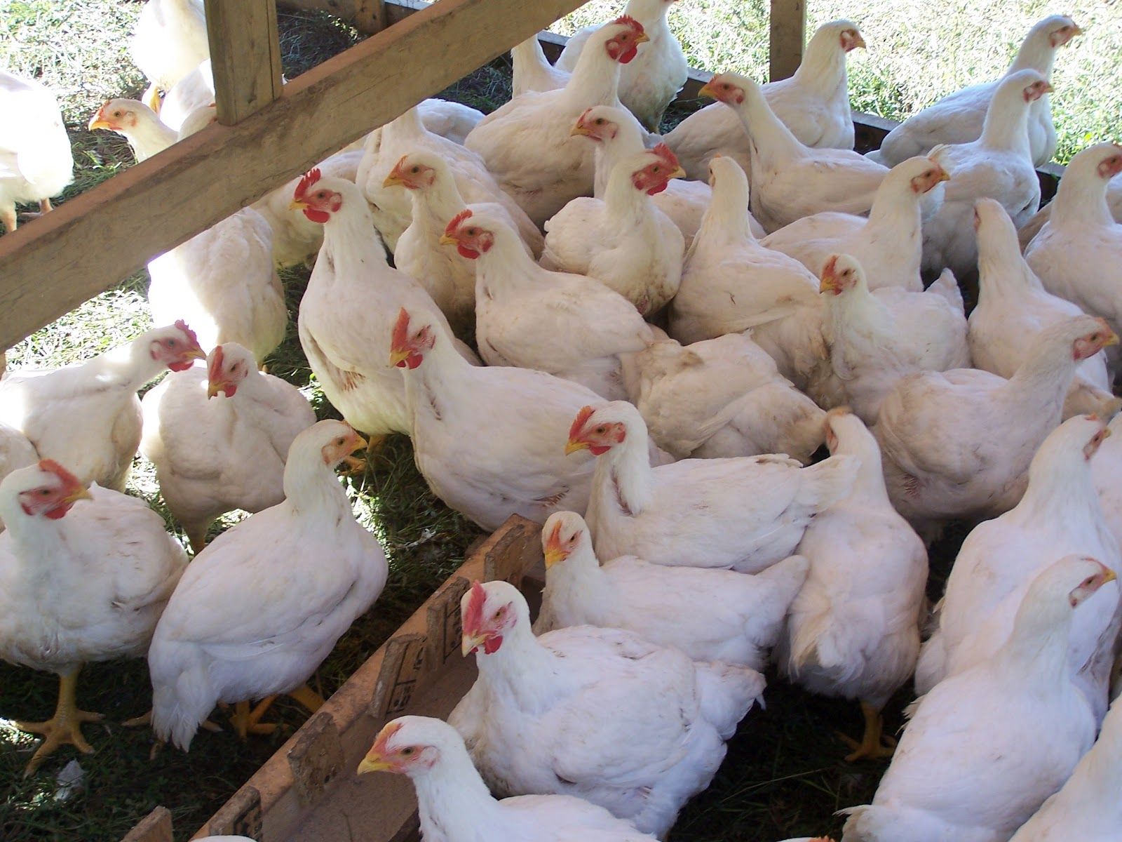 University Teaching And Learning Plot